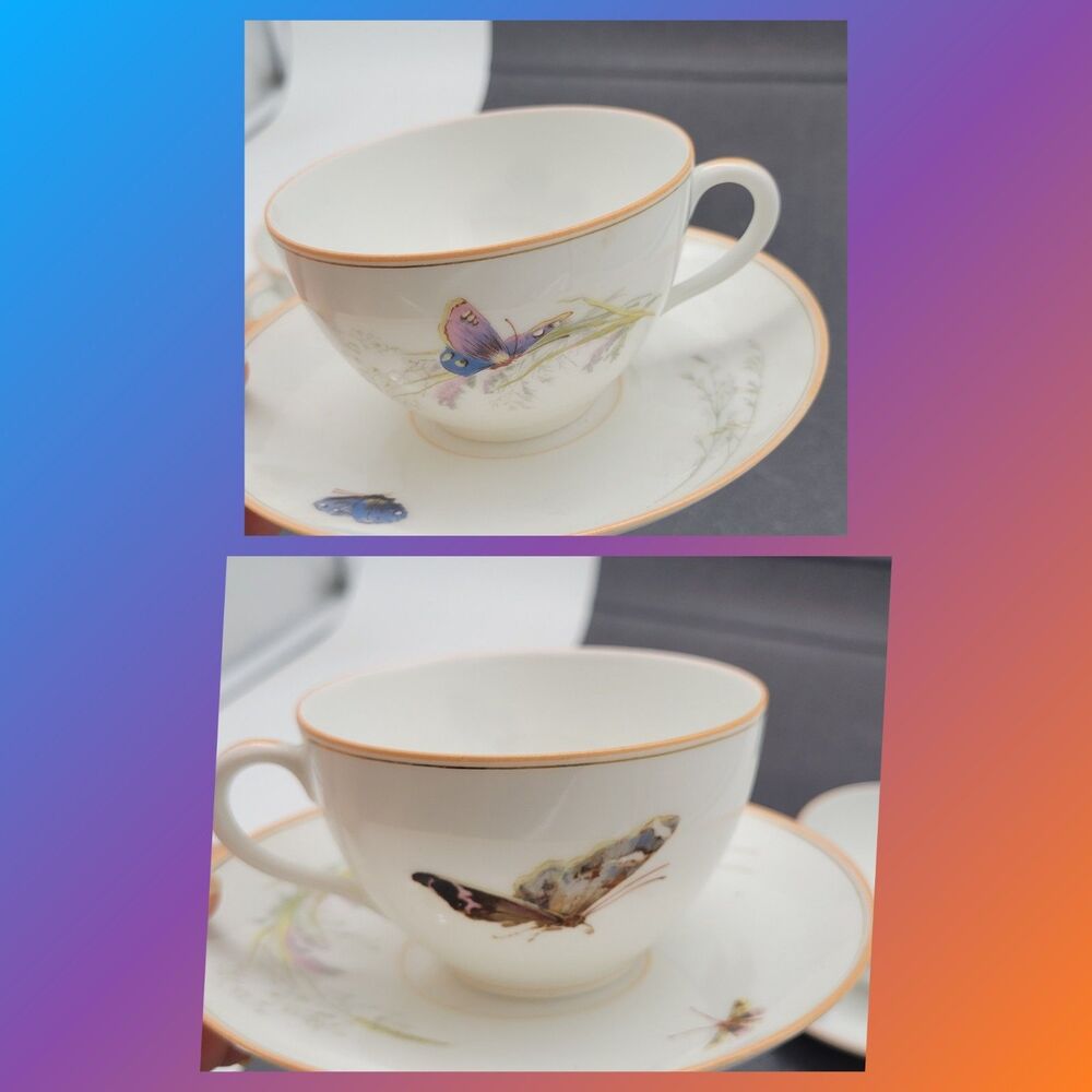 READ 2 ? Haviland Limoges ? Meadow Visitors Cup/Saucer Butterflies/Grasses